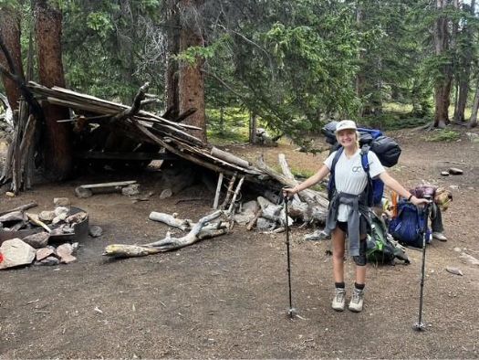 Person with a large hiking backpack and trekking pole standing near a rustic wooden shelter made of logs and branches in a forest clearing. Fallen logs and a stone fire ring are visible on the ground.