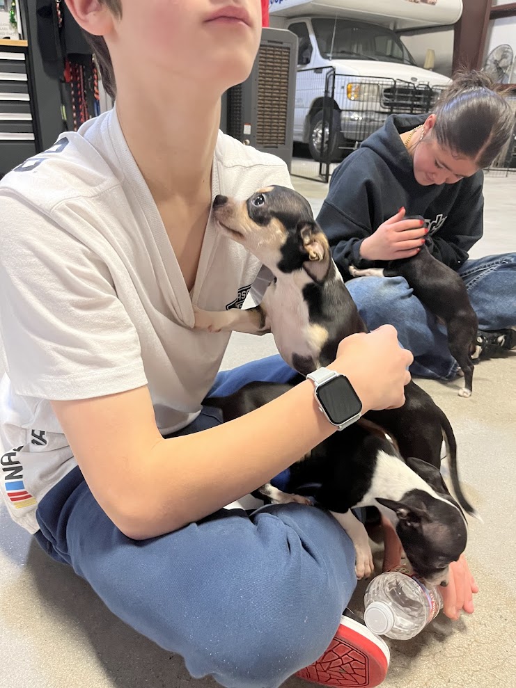 Students sitting on the floor indoors, holding and cuddling small puppies.