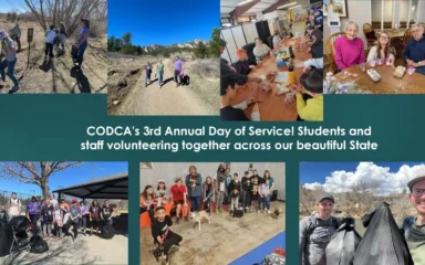 service day, collage of photos