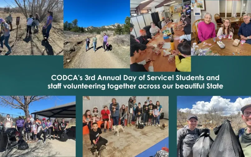 service day, collage of photos